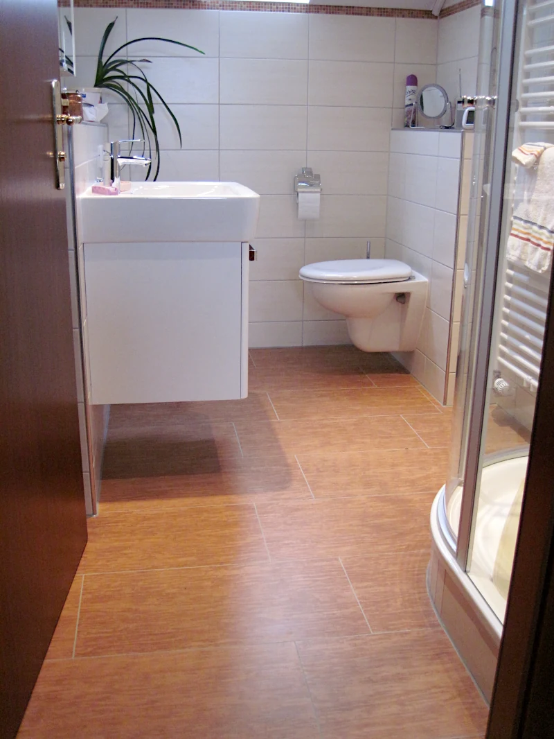 Bad mit Dusche, WC und Waschtisch